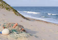 Mozambique Accommodation - Mozambique Camping - Mozambique camp sites - Macaneta Accommodation -  Macaneta camping