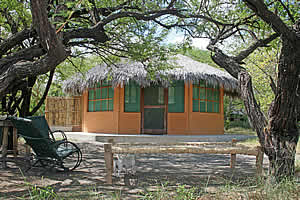 Pemba Accommodation - Pemba Self Catering - Pemba Dive and bush camp - Mozambique Dive camps - Mozambique Diving