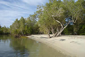 Pemba Accommodation - Pemba Self Catering - Pemba Dive and bush camp - Mozambique Dive camps - Mozambique Diving