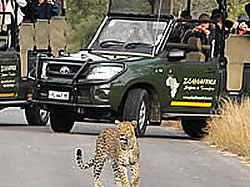 Day Tours into the world renowned Kruger National Park