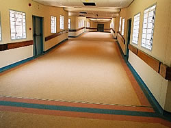 Flooring Dimensions for carpet suppliers in Maputo