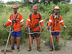 Garden services Maputo