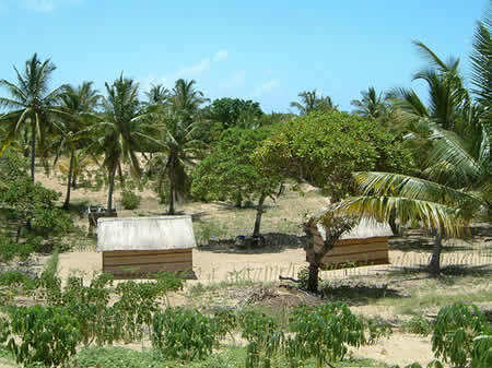 Inhambane