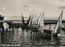 Dhows in Inhambane Harbour Mozambique